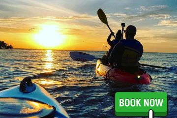 bioluminescence florida tours tour sunset fall featured
